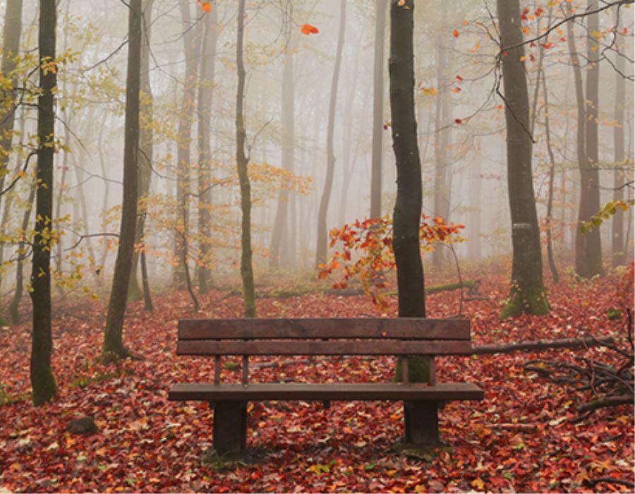 Making Prayer a Conversation
