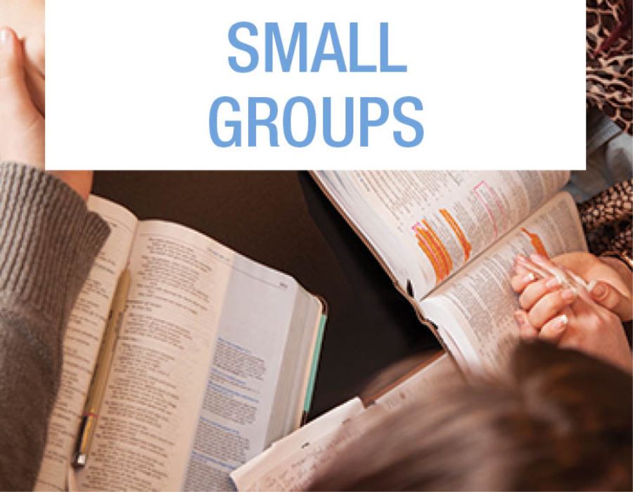 Fully Developed Disciples
