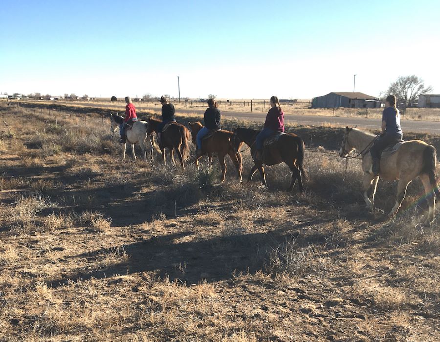 Thankful beyond belief at Red Top Ranch