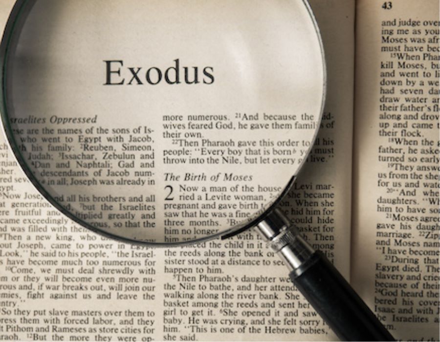 Exodus and Social Justice