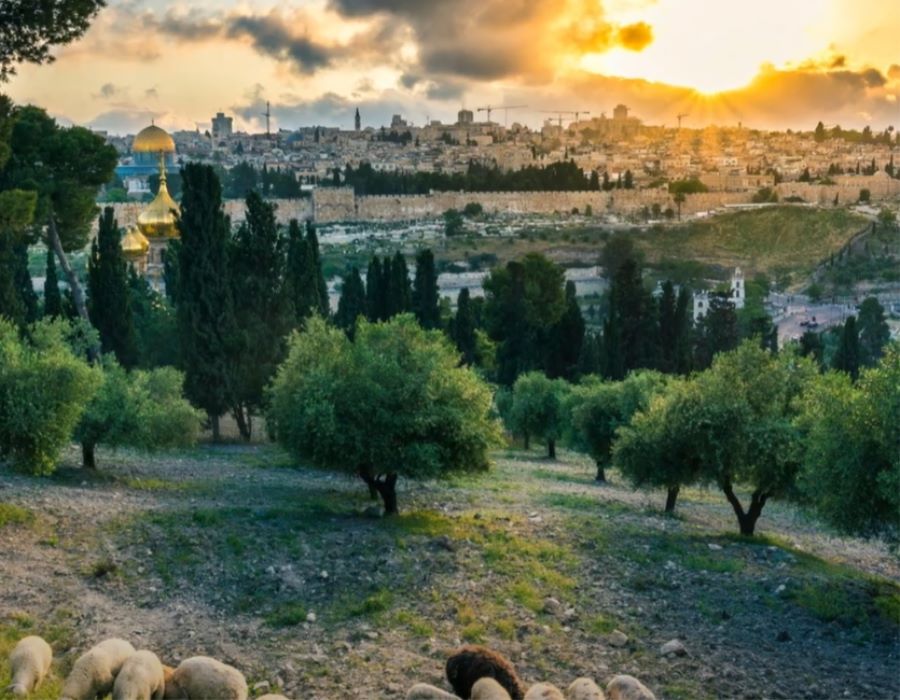 Betrayal at the Crossroad: The Last Week of Jesus, Day 4