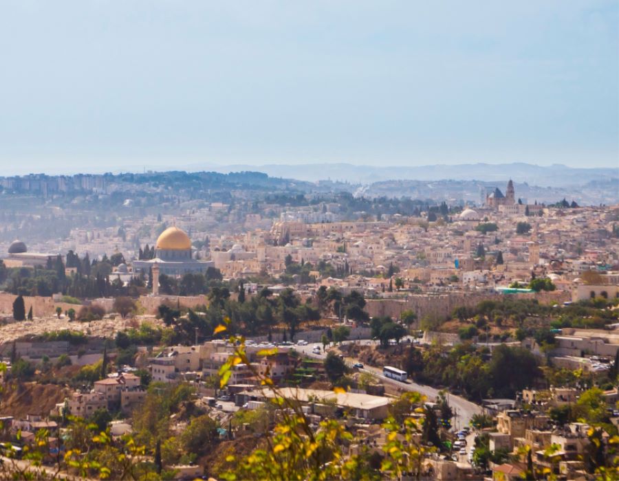 The Final Week of Jesus | Day 1: The Triumphal Entry