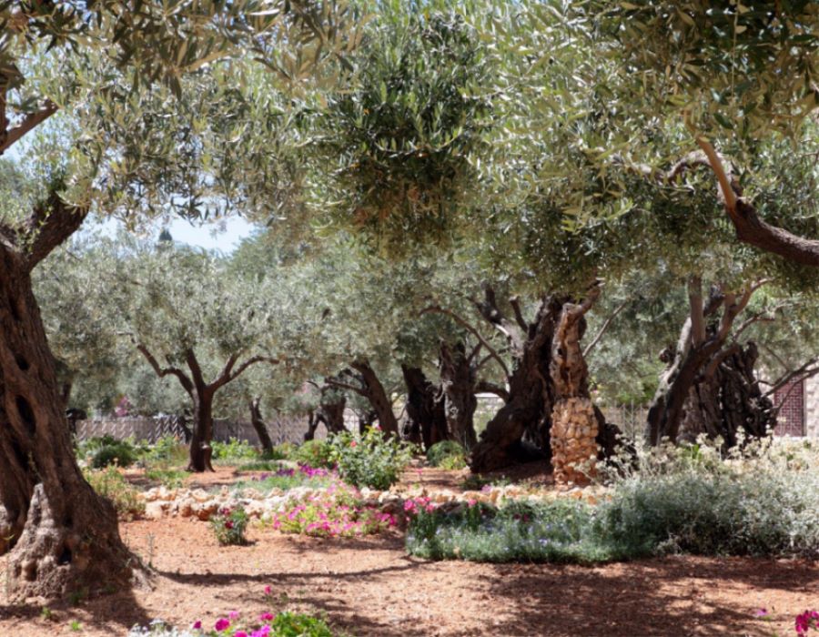 Jesus in the Garden