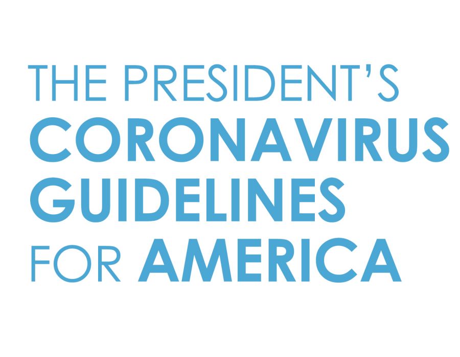 The President’s Coronavirus Guidelines for America