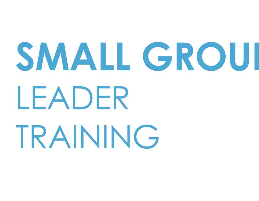 Train Your Small Group Leaders