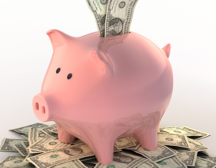 Unused Restricted Funds