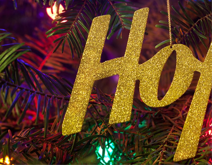 Christmas Hope