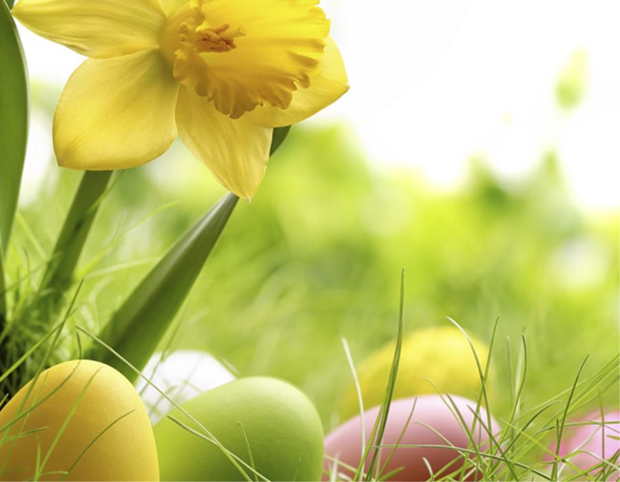 Helping Kids Experience the Significance of Easter