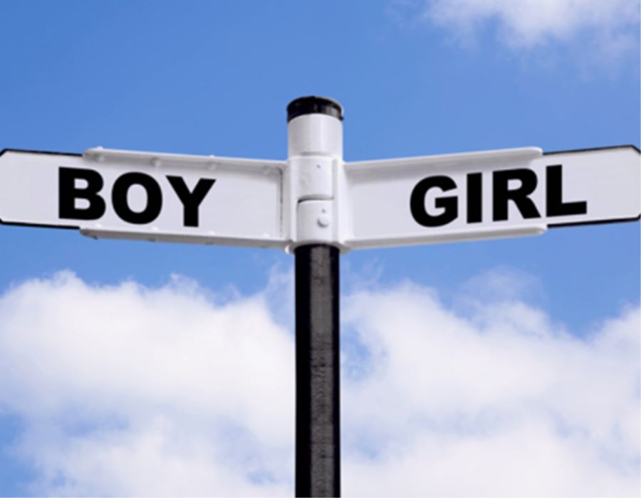 Capturing the Hearts of Boys and Girls