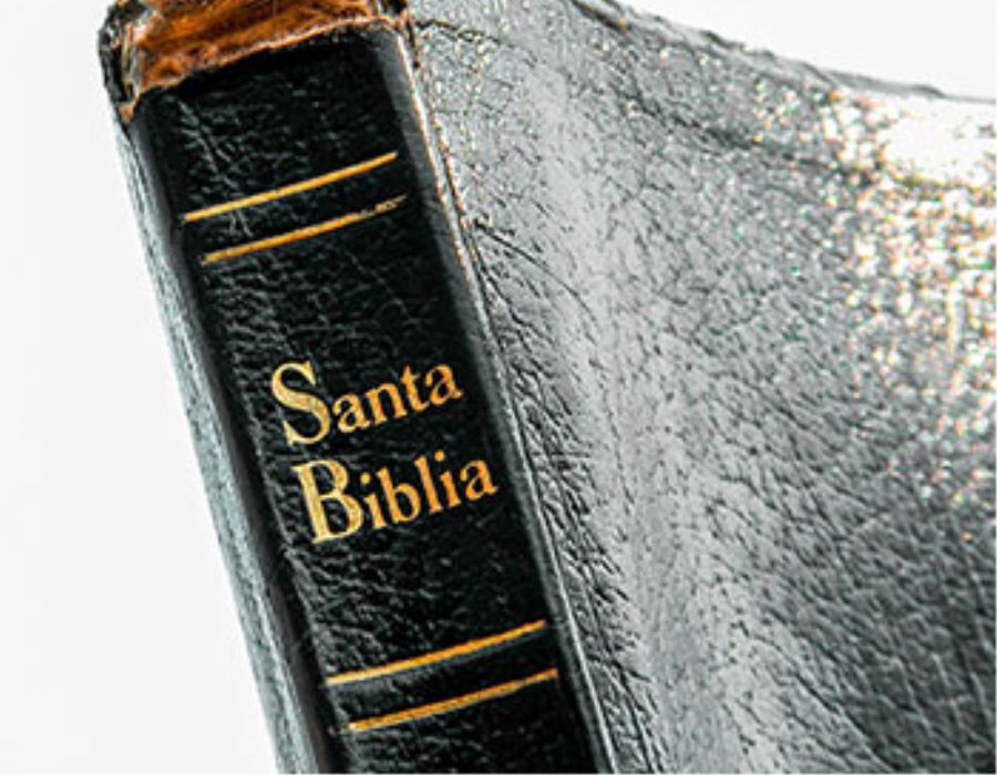 A Tale of Two Kings: The Lost Book