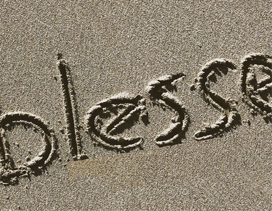 The Leader God Blesses | An Eight-Week Study for Teams