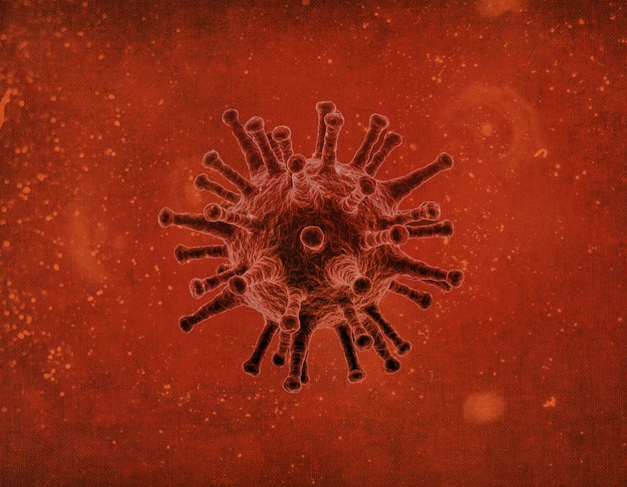 Cómo liderar en una pandemia
