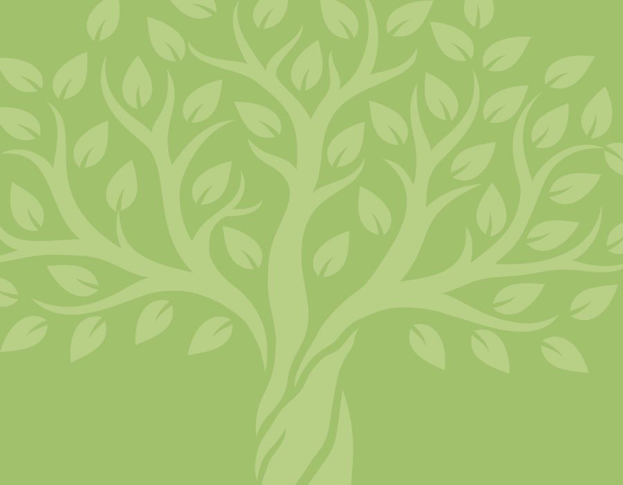 Discipleship: Becoming More Like Jesus