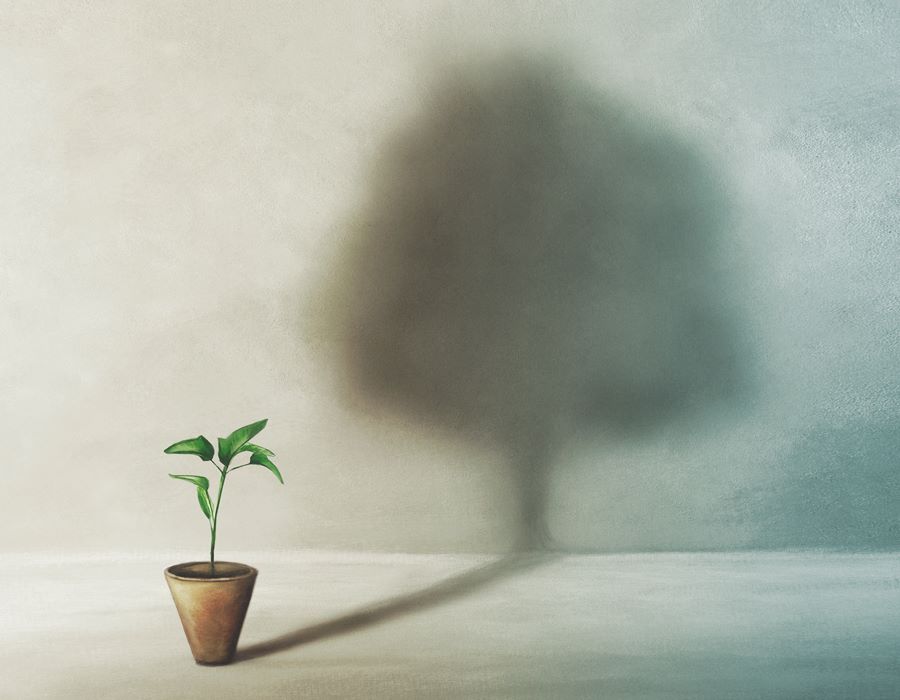 What Growth Is and How It Happens