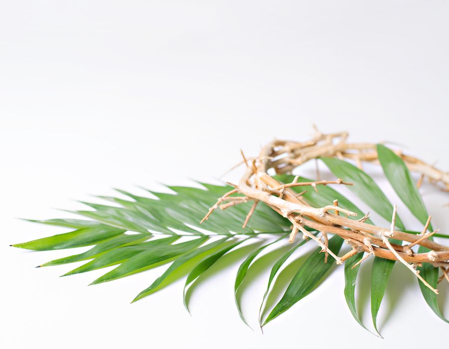 The Divine Comedy of Palm Sunday