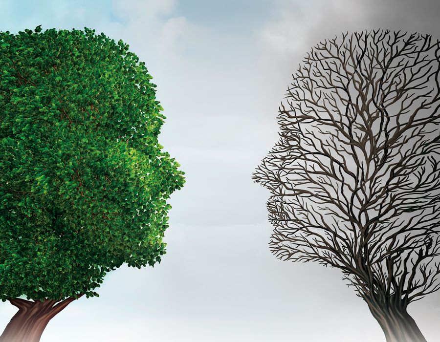 Renewing Your Mind