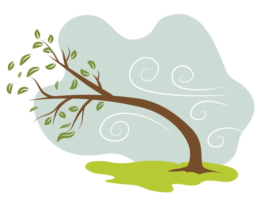 Pastoral Resilience