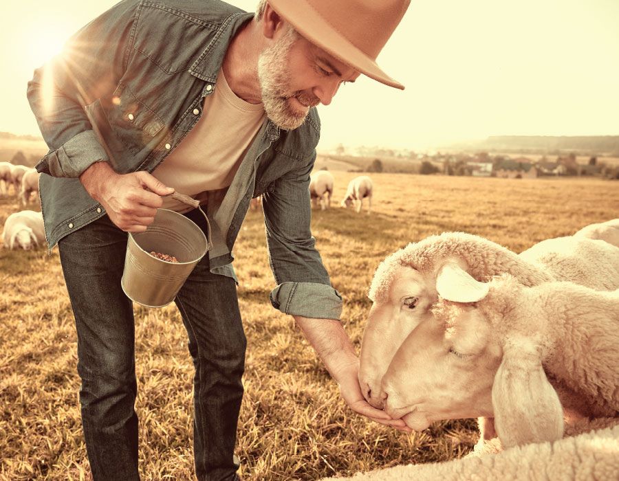 Good Shepherds