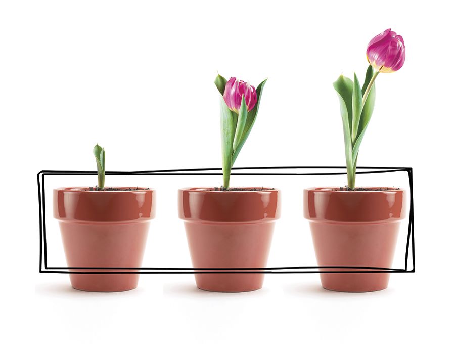 Moving Easter Guests Toward Greater Faith