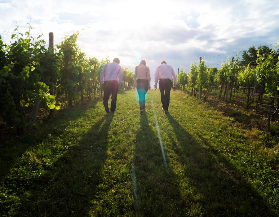 5 Ways to Build a Professional Ministry Network (Without Losing Your Soul)