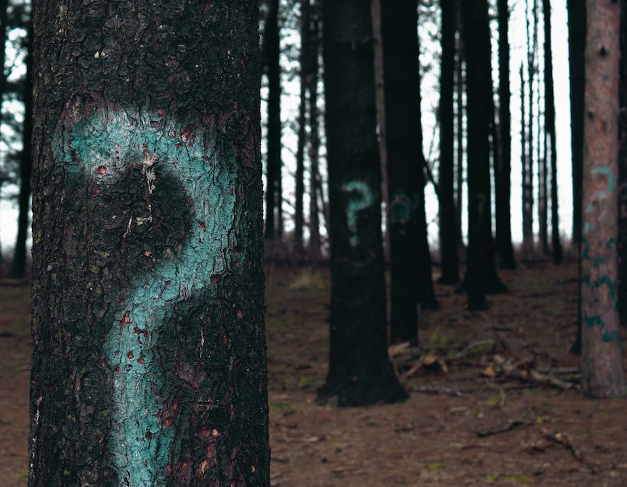Doubt, Faith and Certainty
