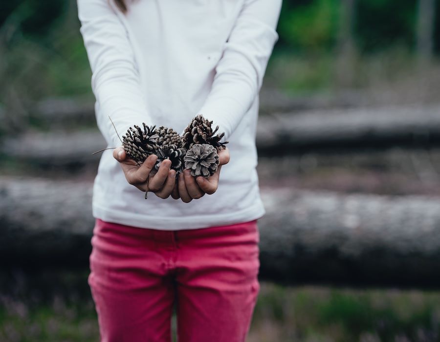 8 Bible Verses of Generosity