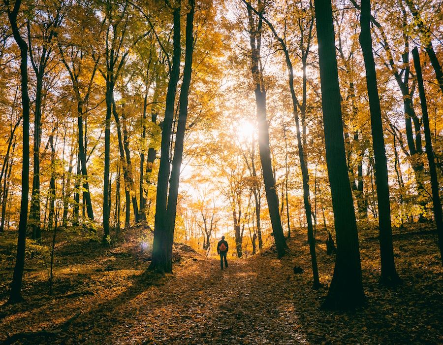 How Gratitude Makes You a Better Leader