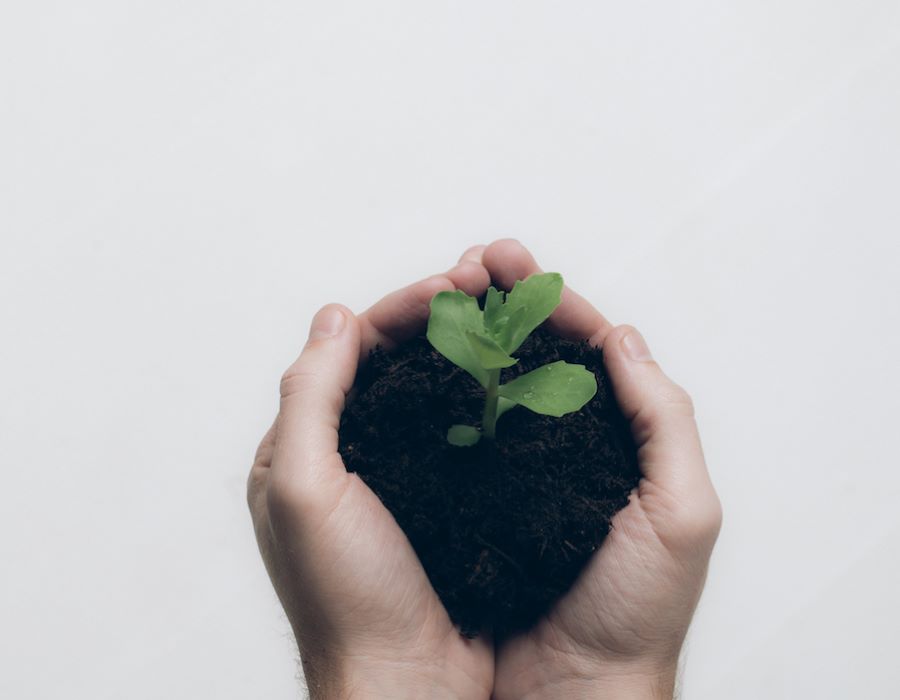 Seven Characteristics of a Growing Church
