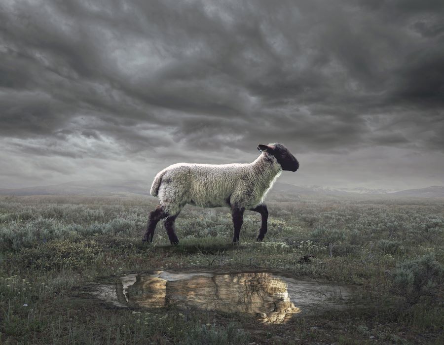 Worthy Is the Lamb Who Was Slain!