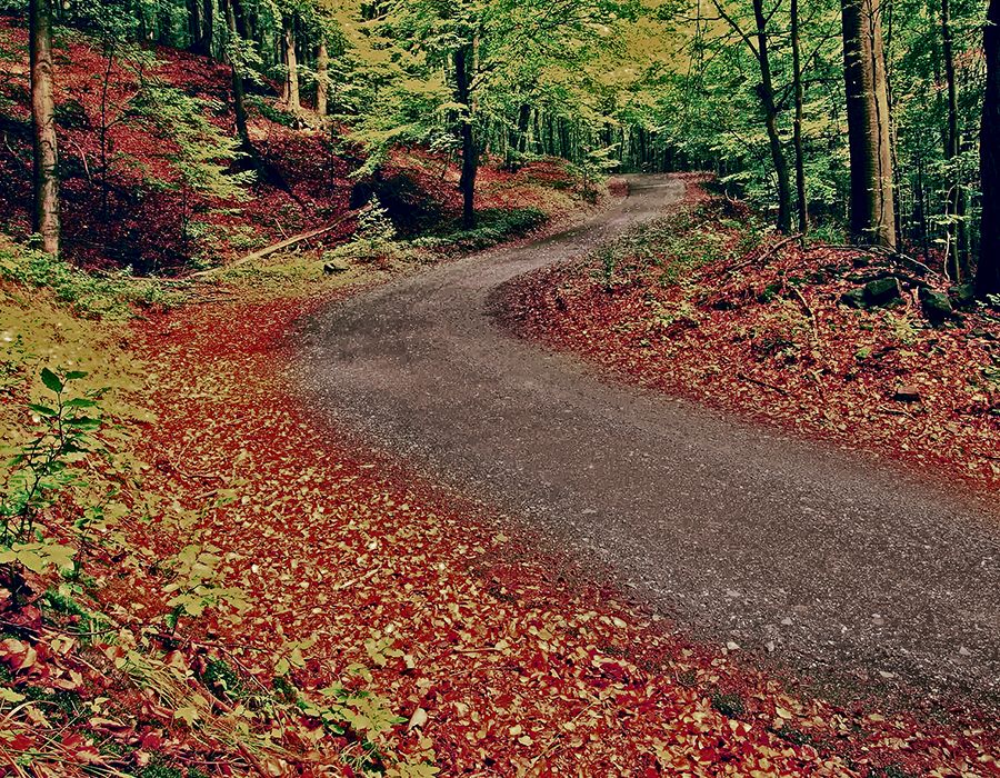 What Is Your Discipleship Pathway?