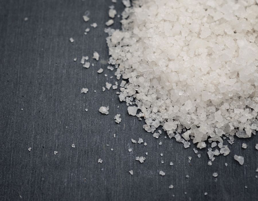 Salt of the Earth