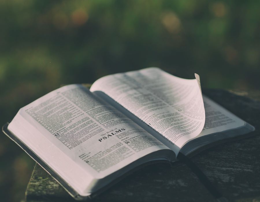Perspectives: Sermon Series Branding vs. Preaching Through Books of the Bible