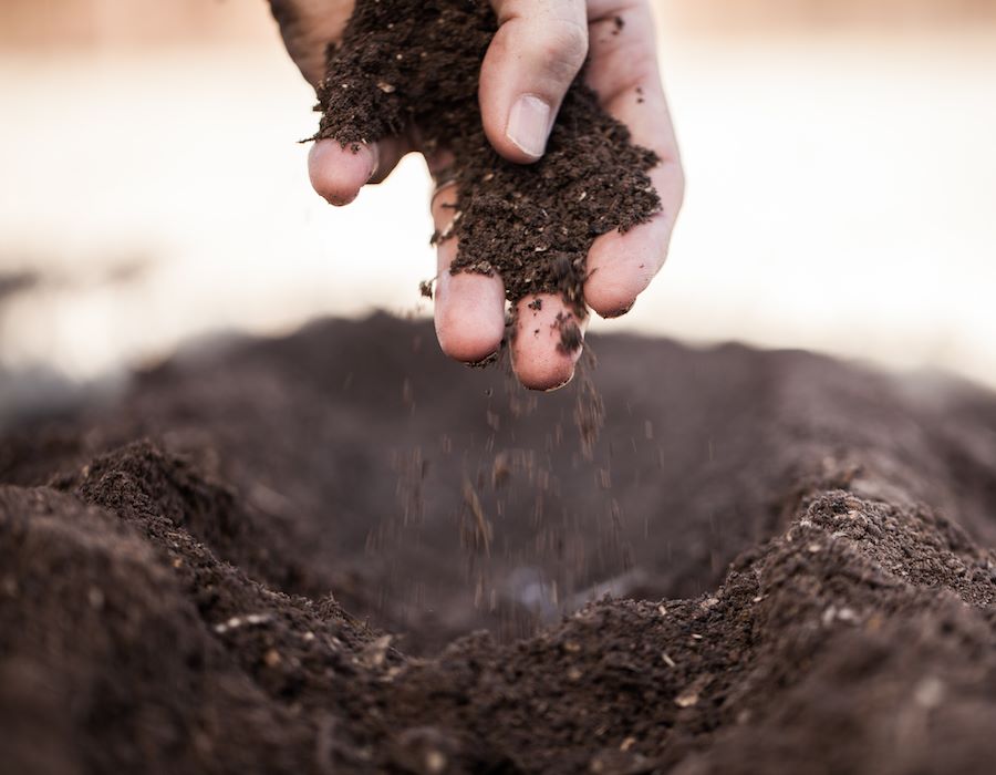 Sowing in Tears, Reaping With Joy