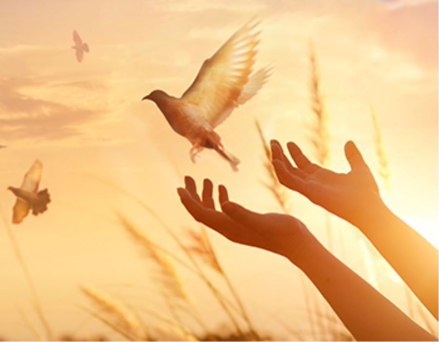 Children and the Holy Spirit (Part 1)