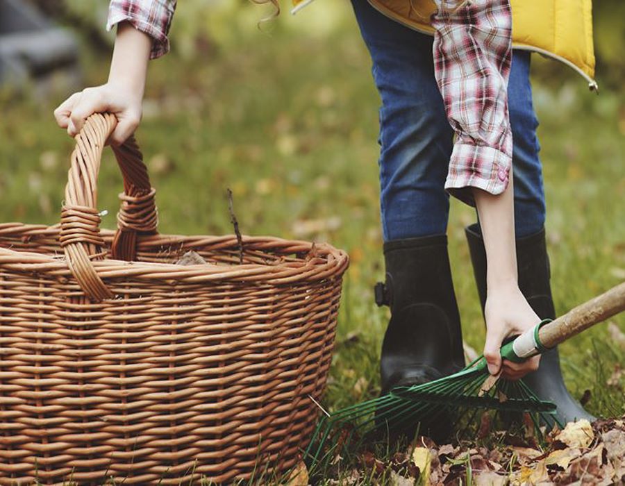 7 Ways to Honor Others