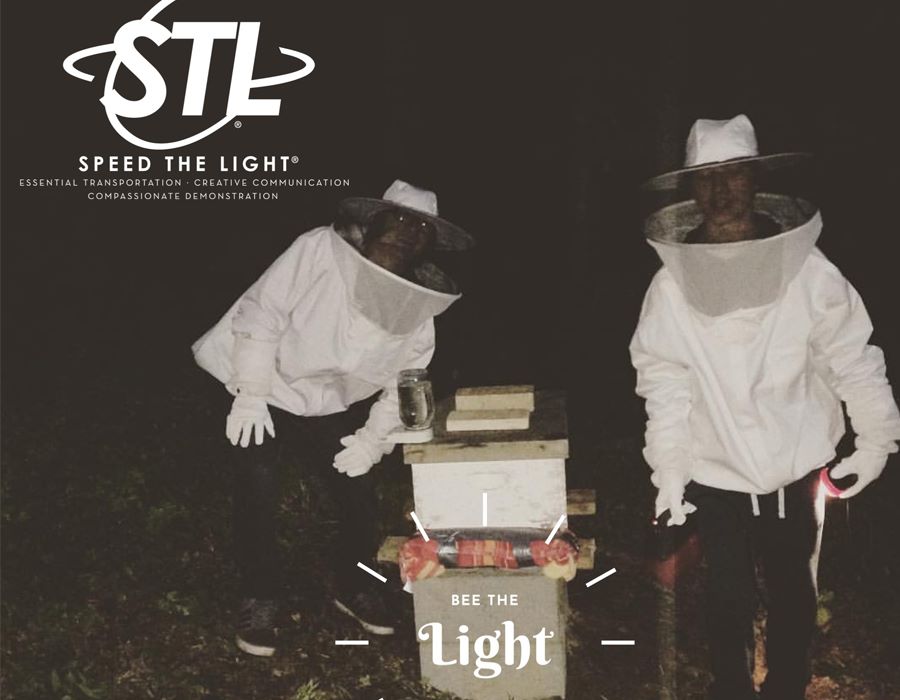 Bee the Light for Speed the Light