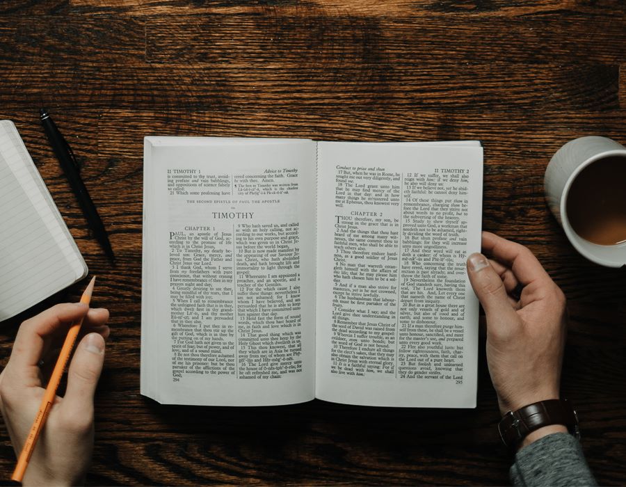 Bring Out the Book