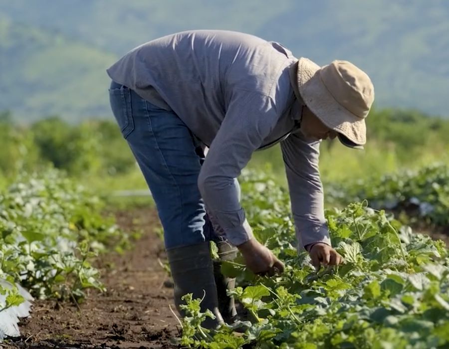 Convoy of Hope Agriculture Ministry: A Firsthand Look