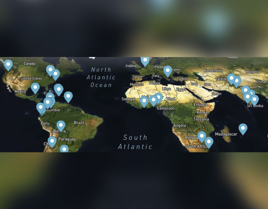 Network211 Celebrates Two Million Evangelism Responses