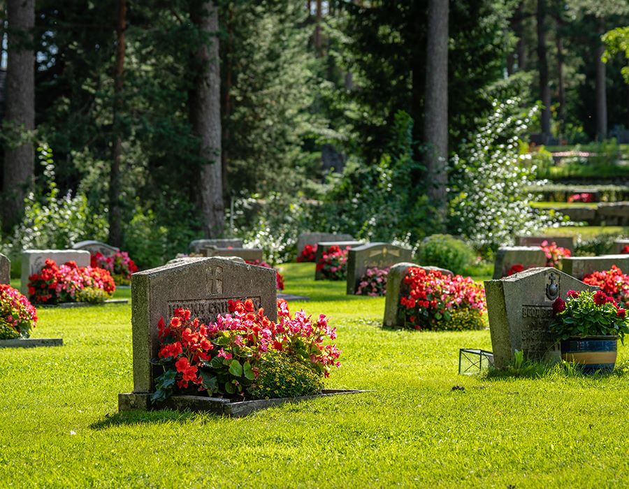 Memorial Day Reflections