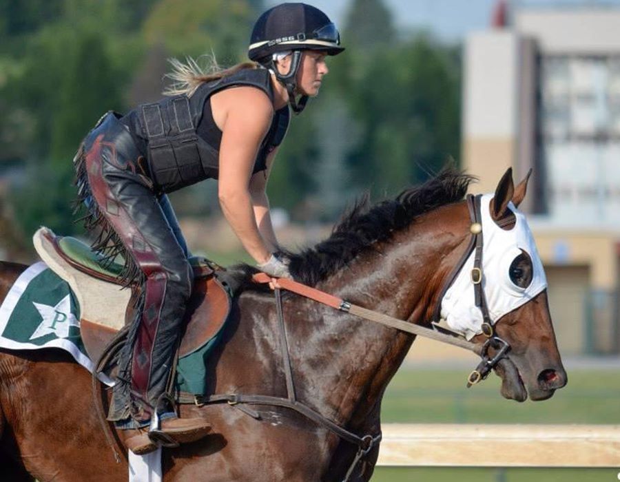 Back in the Saddle of Life
