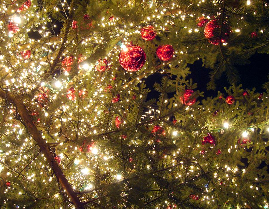 Christmas Wants