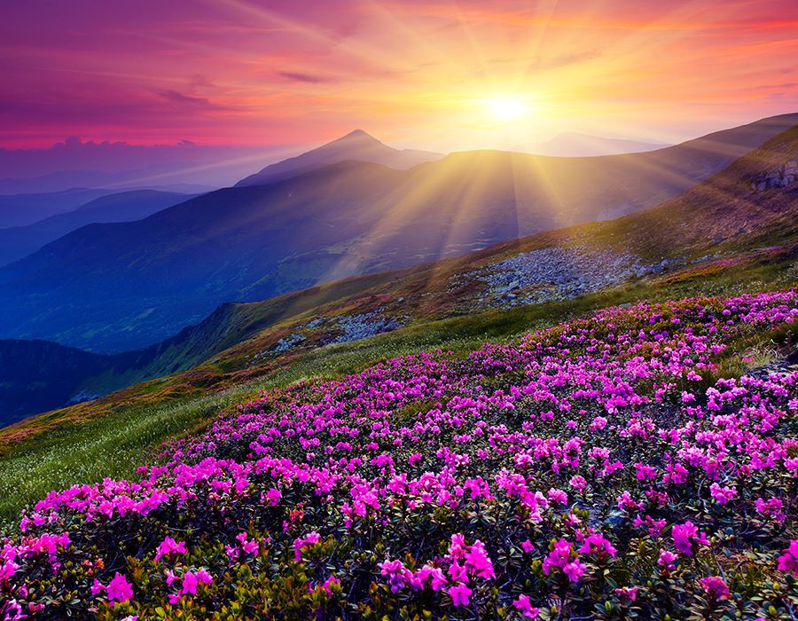 God's Provision in Difficult Times
