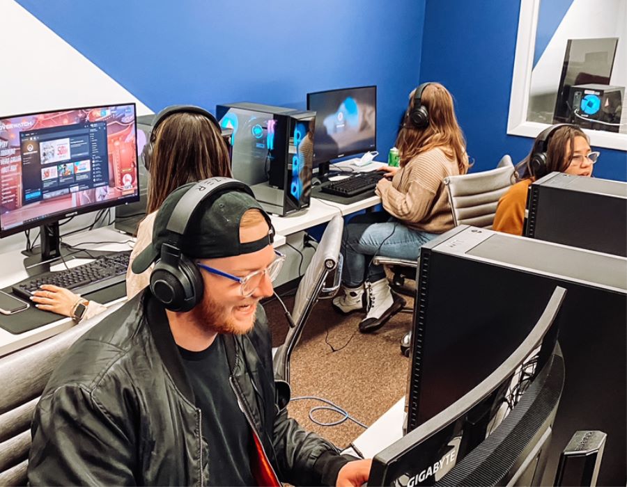 Esports Niche