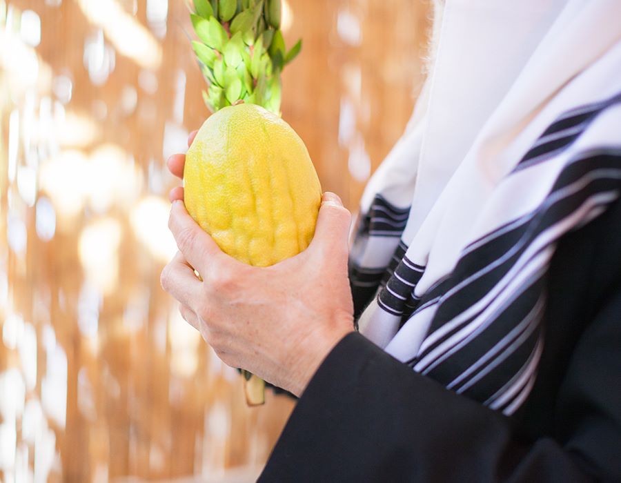 Lessons from the Hut: Understanding Feast of Tabernacles