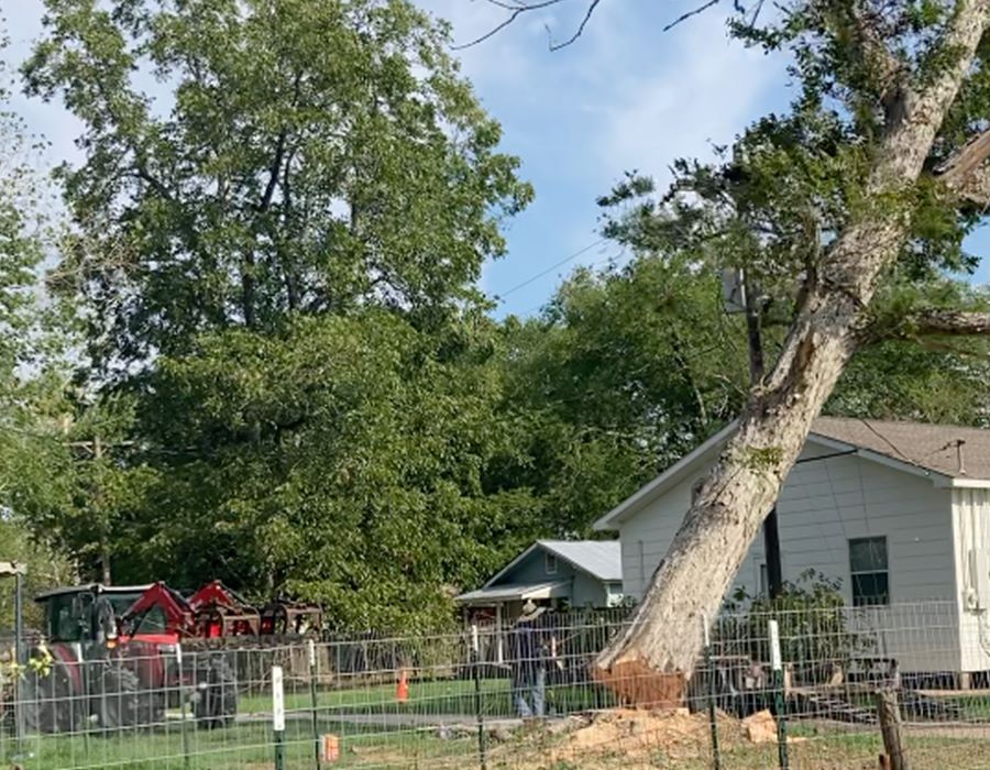 Felled-Tree-Crisis Moment Yields Unexpected Blessings