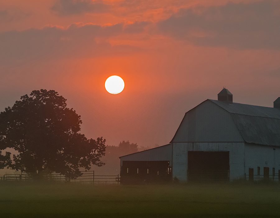 Rattling Dry Bones in Rural America
