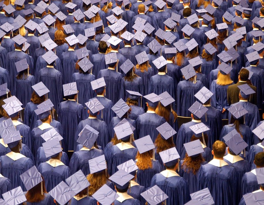 AG Schools Show Strong Online Performance