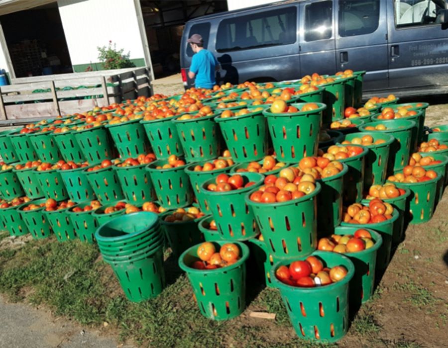 Church Provides Bushels of Blessings