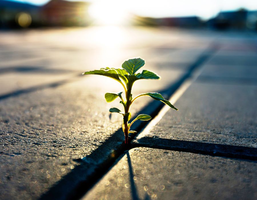 Don't Give Up